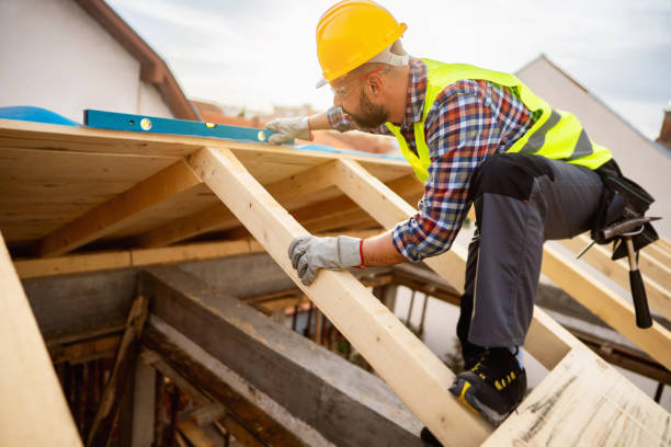 Roof Gutter Cleaning in Braddock, VA