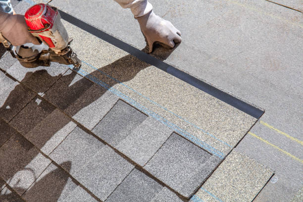 Best Roof Leak Repair  in Braddock, VA